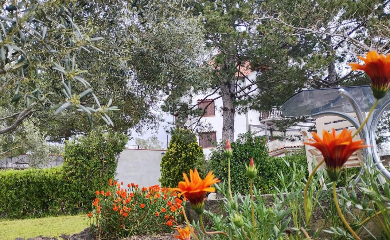 Villa Joele Николози Екстериор снимка
